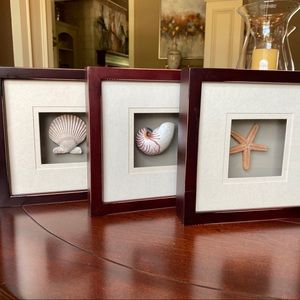 3 Piece Beach Decor - Shells